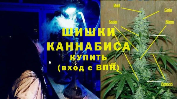 гидра Алексеевка