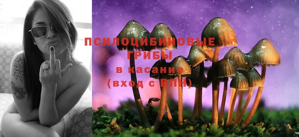 марки lsd Алексин