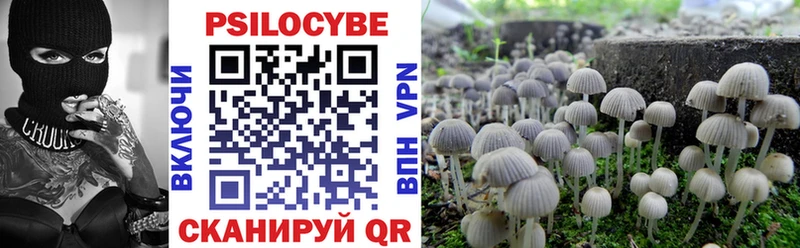 Псилоцибиновые грибы Magic Shrooms  Морозовск 